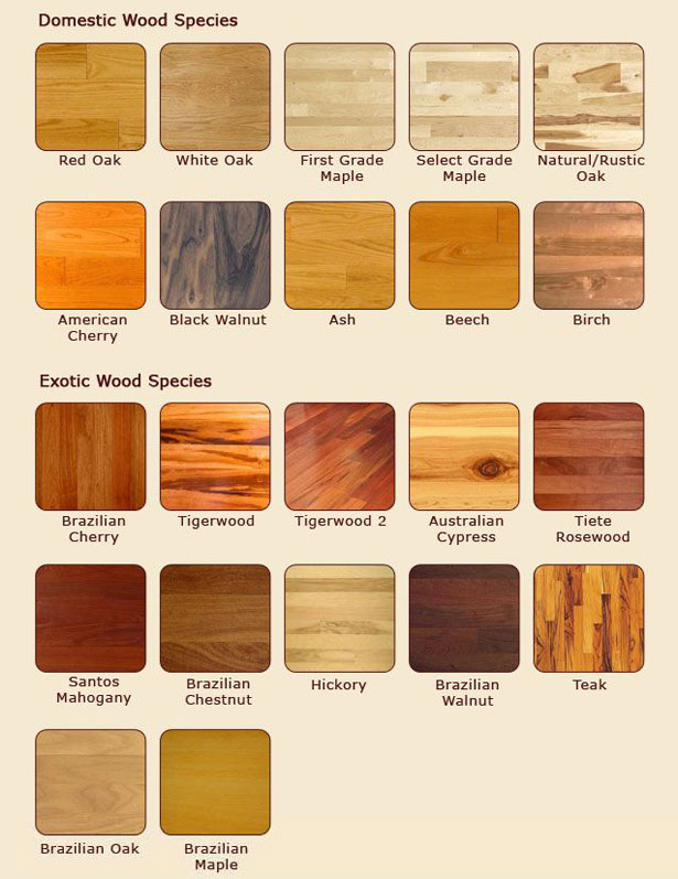 Domestic vs. Exotic Wood Species