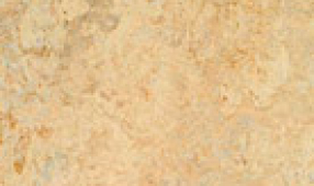 Linoleum Flooring